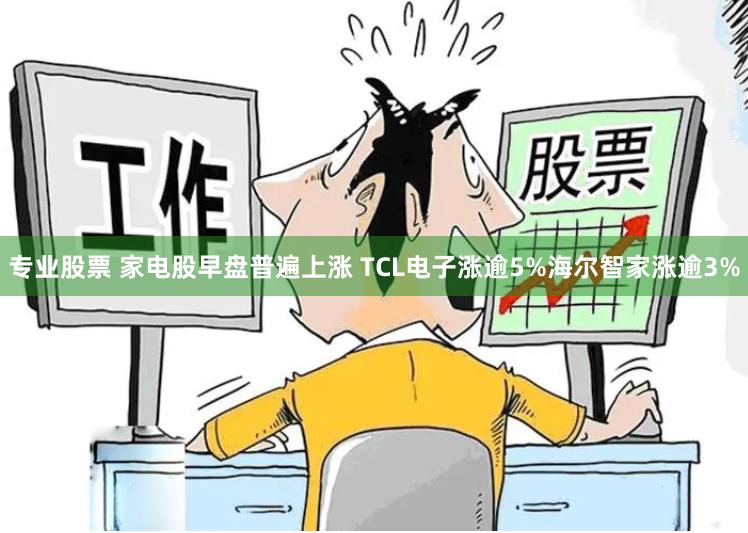 专业股票 家电股早盘普遍上涨 TCL电子涨逾5%海尔智家涨逾3%