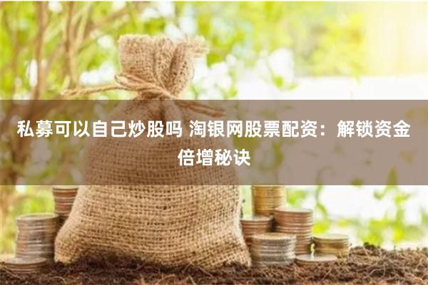 私募可以自己炒股吗 淘银网股票配资：解锁资金倍增秘诀