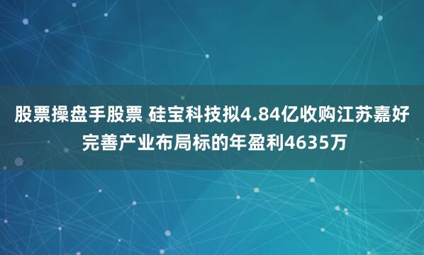 股票操盘手股票 硅宝科技拟4.84亿收购江苏嘉好 完善产业布局标的年盈利4635万