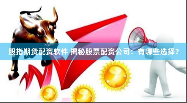 股指期货配资软件 揭秘股票配资公司：有哪些选择？
