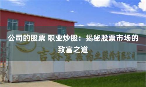 公司的股票 职业炒股：揭秘股票市场的致富之道