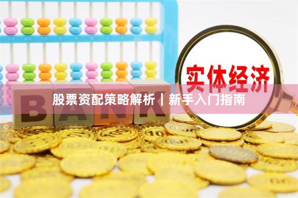 股票资配策略解析｜新手入门指南